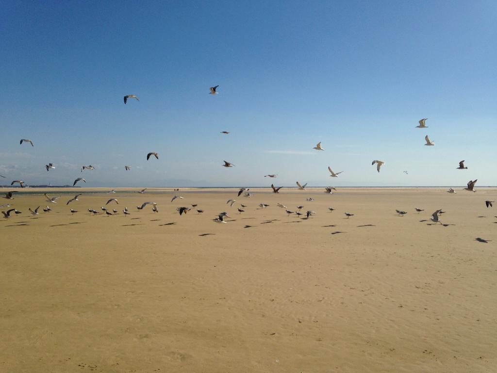 Rural Tarifa Beach Las Cabanas 외부 사진